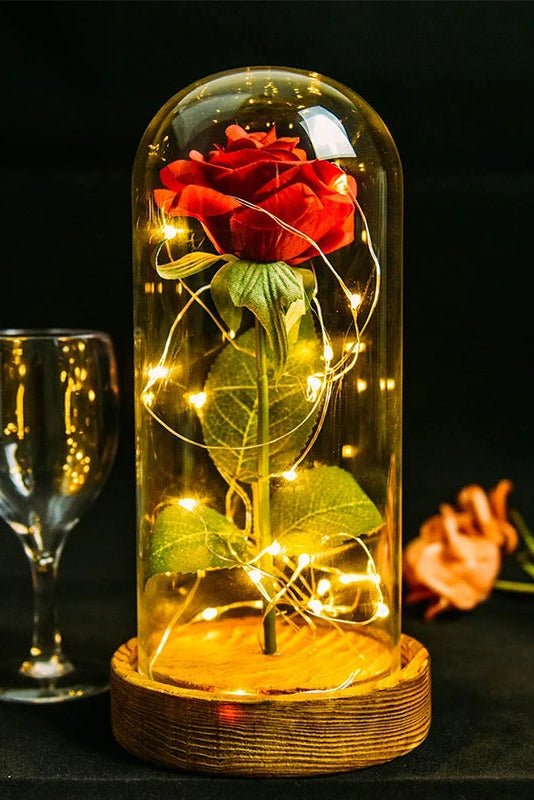 Gifts for Her Beauty and the Beast Eternal Rose in Glass Dome Artificial Forever Flower LED Light Mothers Day Gifts for Women